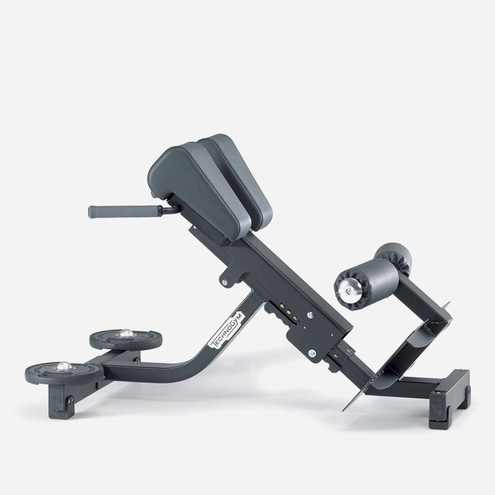 Lower Back Bench