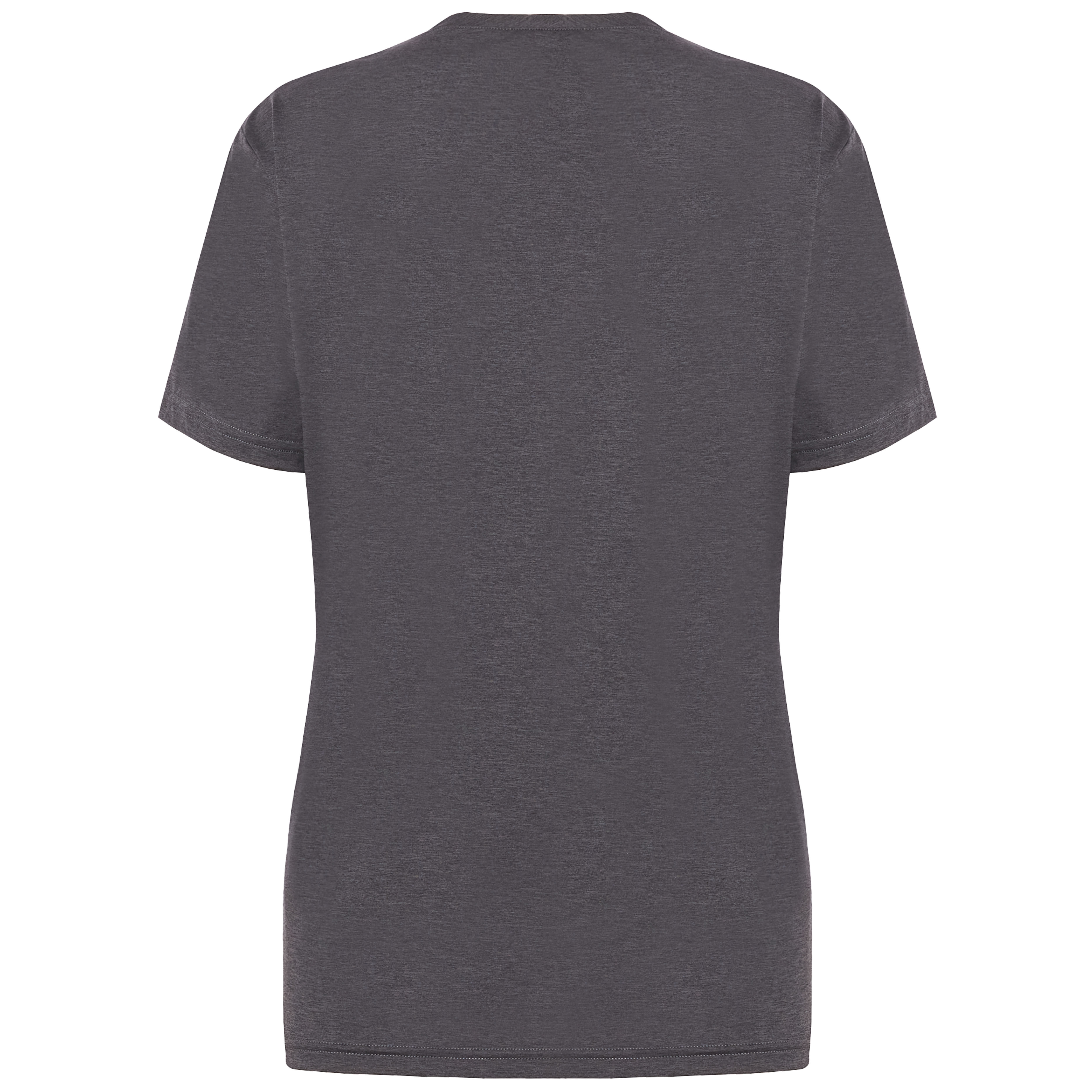 Women's Logo T-shirt Grey